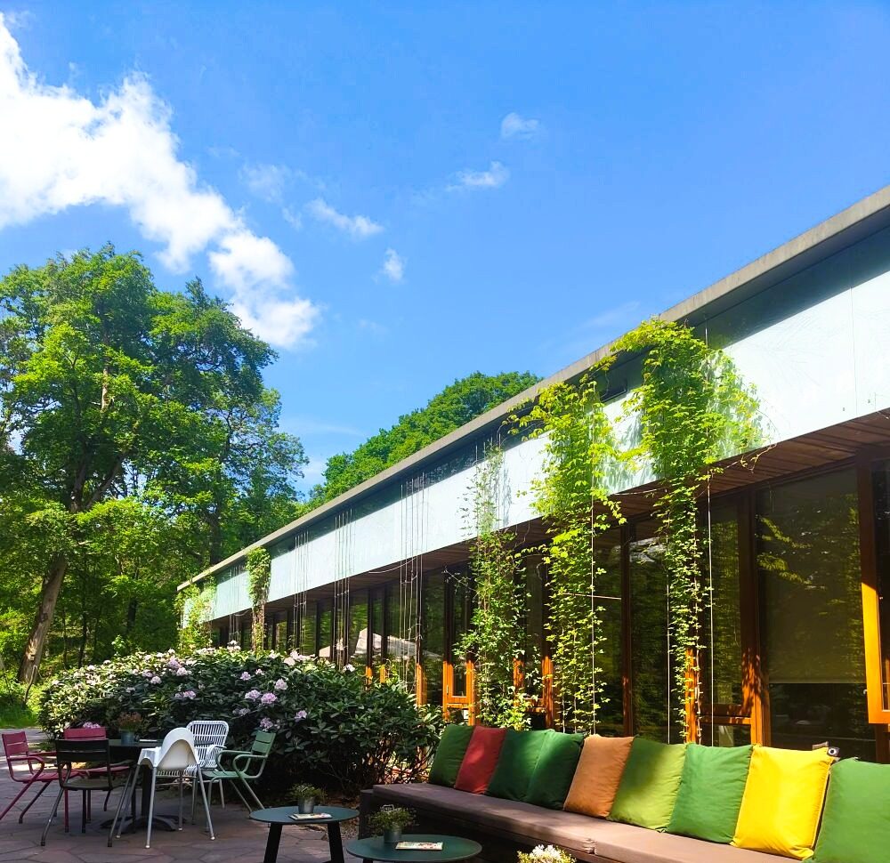 grondgebonden gevelgroen Akebia