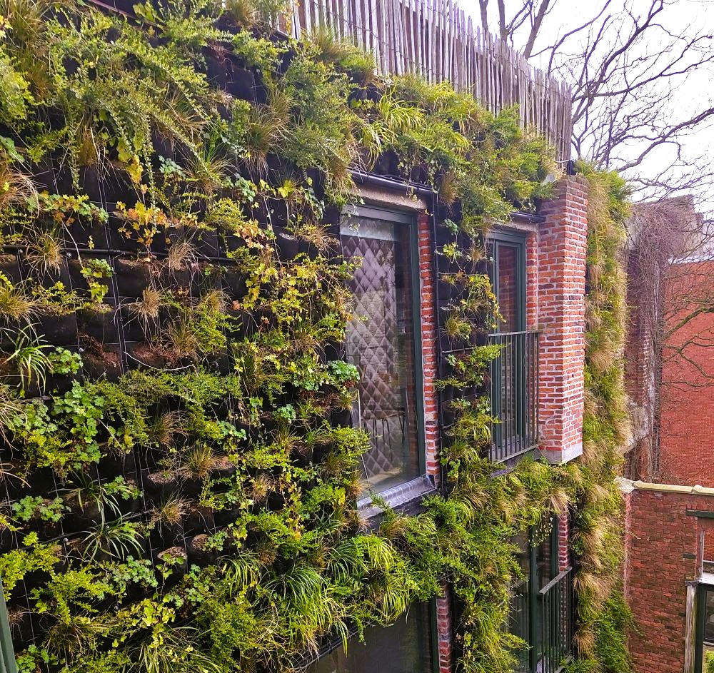 gevelgroen living wall system